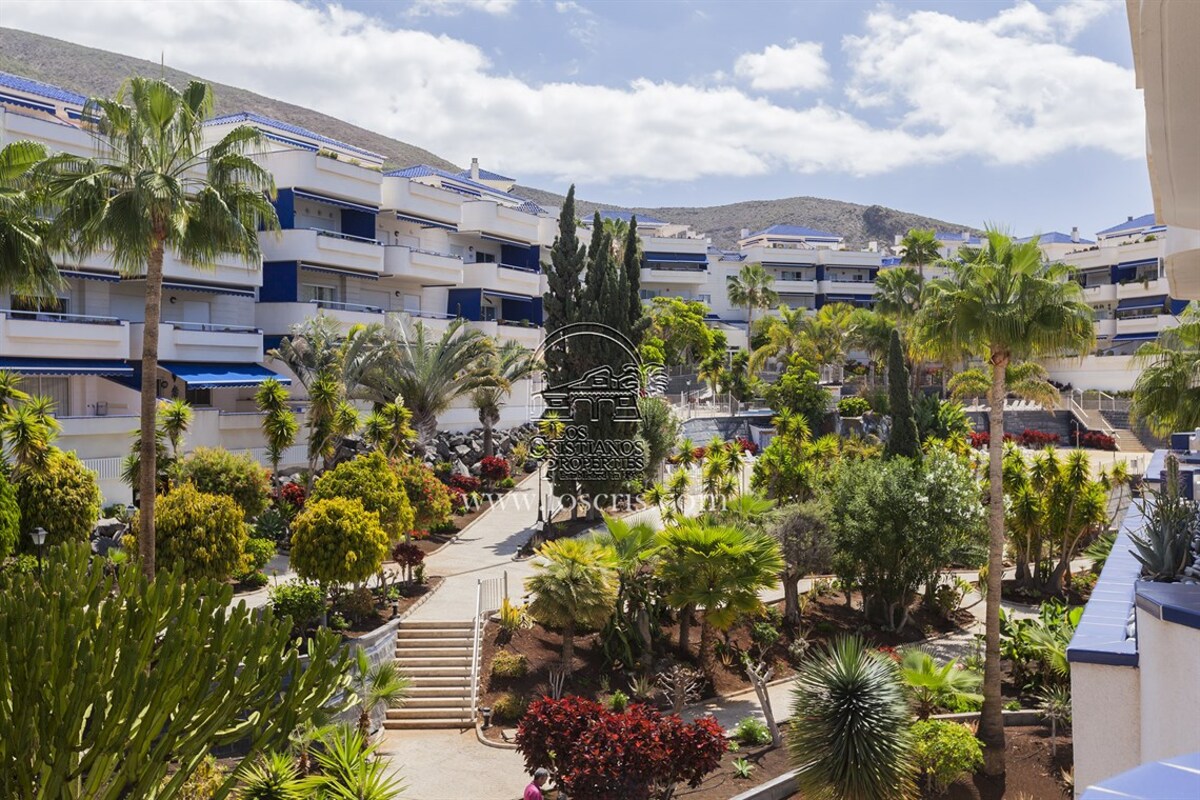 PLAYA_GRACIOSA_II__4_.JPG